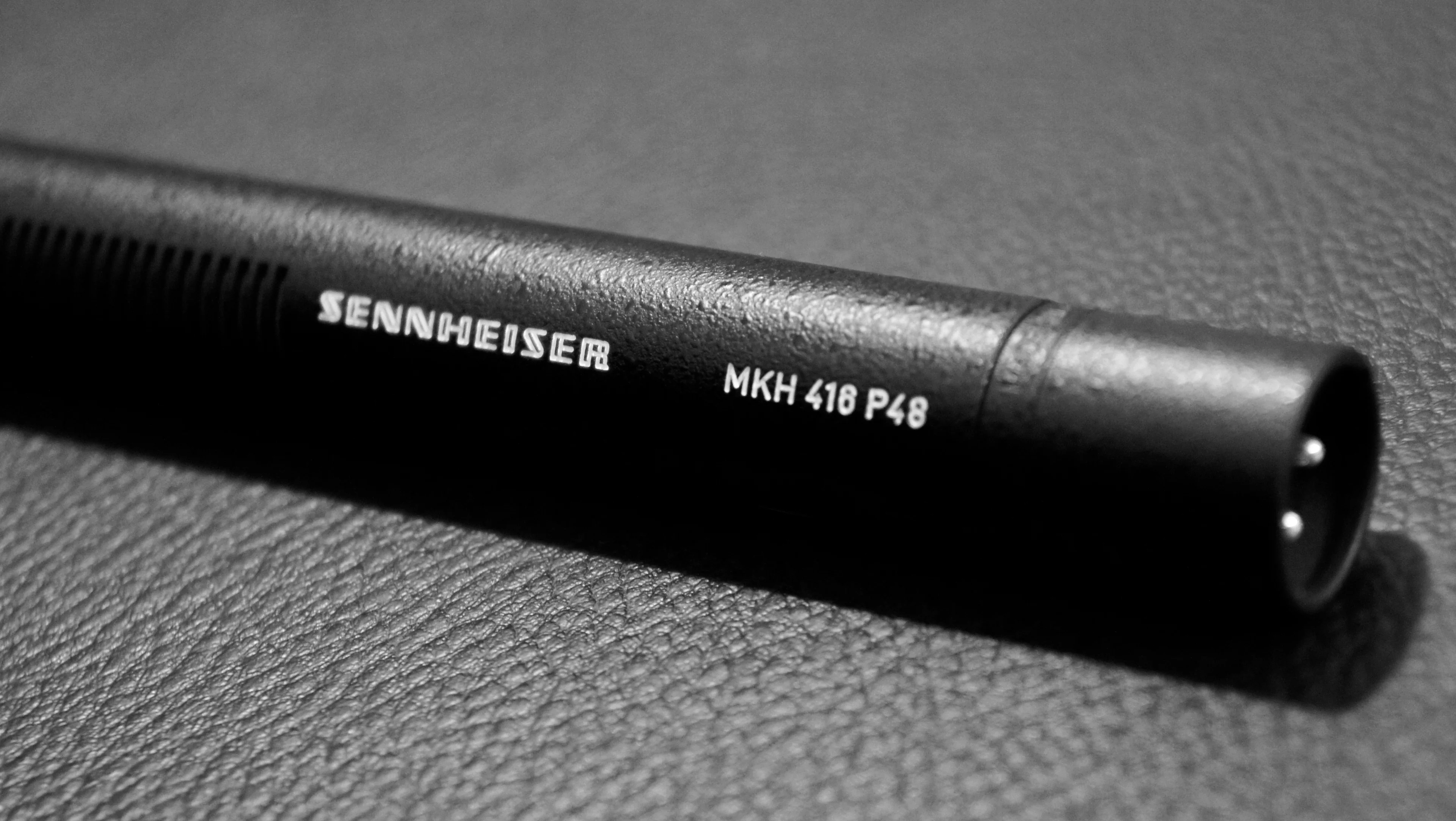 Profesyonel Seslendirme